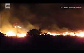 حرائق غابات ضخمه تدمر بلدة في جنوب أفريقيا