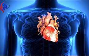 ساخت دریچه‌ مصنوعی قلب با قابلیت خود ترمیمی