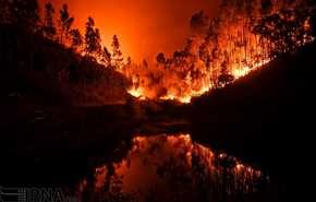 آتش‌سوزی جنگل‌های پرتغال با 24 کشته | تصاویر