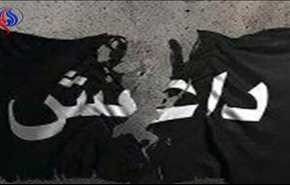 ما هي استراتيجية تنظيم 