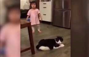 فيديو طريف: قطة تشعل الفيسبوك.. بسبب !؟