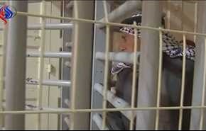 بالفيديو: مخاوف فلسطينية تكرار سيناريو الحرم الابراهيمي في الاقصى