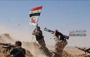 شاهد بالفيديو.. 