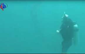 بالفيديو.. غواص يكتشف مخلوقا بحريا غريبا في قاع المحيط