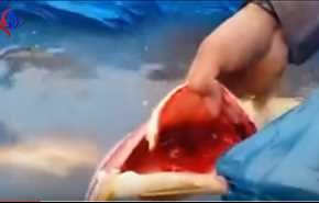 فيديو| لن تصدق ما ستراه.. مقطع صدم المشاهدين لأغرب سمكة بالعالم!