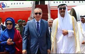 مجتهد يكشف تفاصيل حملة سعودية إماراتية لتنفيذ سيناريو قطر في تركيا !