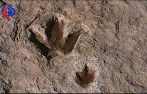 رؤية أقدام ديناصور بولاية تطاوين التونسية!!
