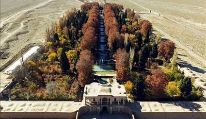 Watch Magics of Fall’s Colors in Iran's Shazdeh Garden