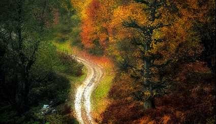 پاییز هزار رنگ مازندران +عکس
