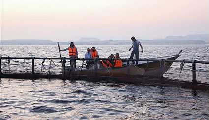 ارزیابی و پایش ذخیره ماهیان ابهای خلیج فارس و دریای عمان