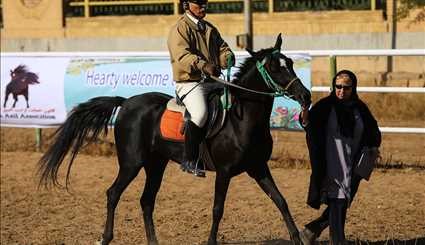 Racing horse skills competitions