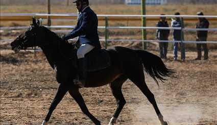 Racing horse skills competitions