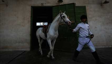 Racing horse skills competitions