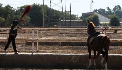 Racing horse skills competitions