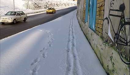 الثلوج في مدينة ارومية شمال غربي ايران