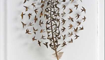 فنان أميركي يأخذ ريشة من طير ويحوِّلها إلى مجسمات على شكل ذلك الطير