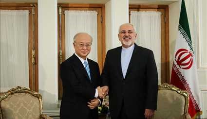 Zarif, IAEA head meet in Tehran