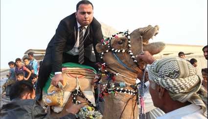 A traditional wedding ceremony in Qeshm island