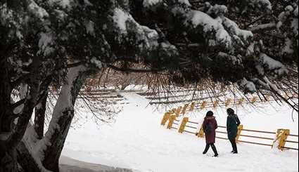 صور رائعة لتساقط الثلوج في مدينة ارومية الإيرانية