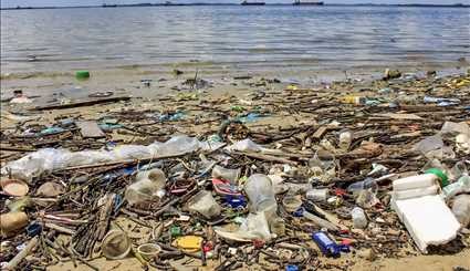 تراکم القمامة في السواحل