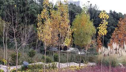 Tehran Bird Garden
