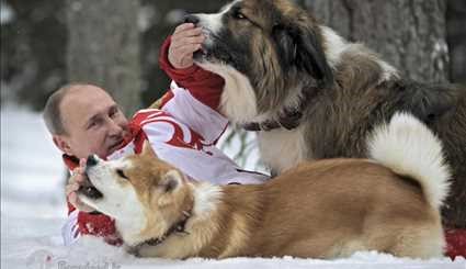 عشق پوتین به حیوانات +عکس