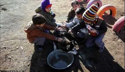 The first nature school in Kurdistan