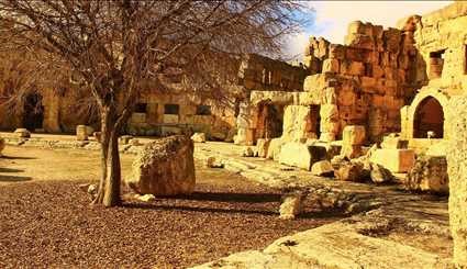 بالصور ..جمال قلعة بعلبك في لبنان