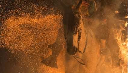مراسم جدال اسب با آتش +عکس