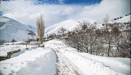 بارش برف در اهر و کامیاران | تصاویر