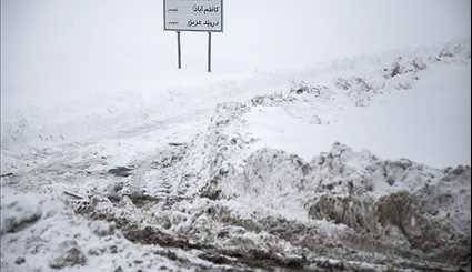 بارش برف در اهر و کامیاران | تصاویر