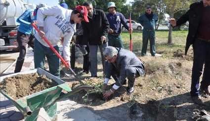 بالصور..جامعة واسط  تنظم حملة زراعة ألفي شجرة زيتون