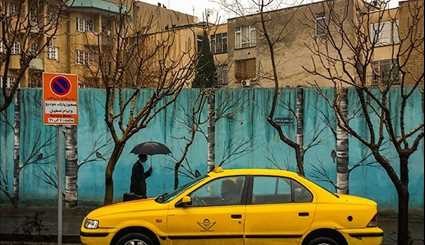 بارش باران در تهران/ تصاویر