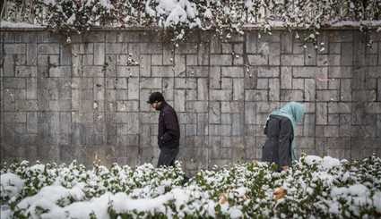 Snowfall in Tehran