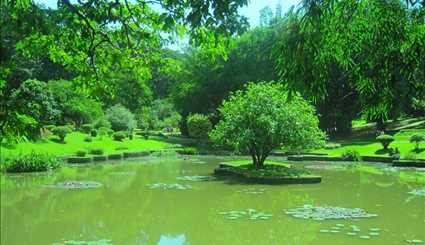 بالصور..جمال حديقة كاندي الملكية في سريلانكا