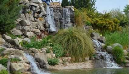 بالصور.. جمال حديقة الطيور في مدينة أصفهان الإيرانية