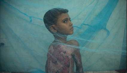 یمن به روایت تصویر