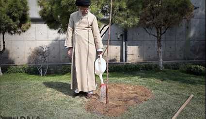 کاشت نهال توسط رهبر معظم انقلاب اسلامی/ تصاویر
