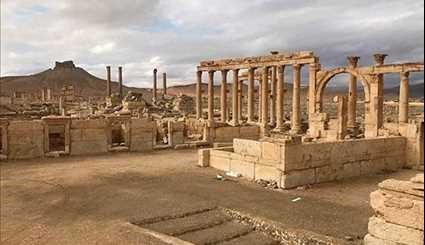 Palmyra, Oasis in Syrian Desert