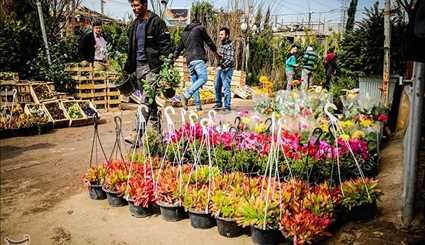 سوق الورود والنباتات عشية عيد النوروز