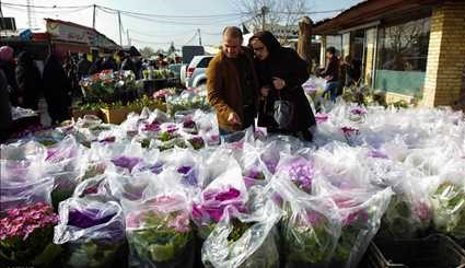 Mahallati Flower Market on eve of Spring