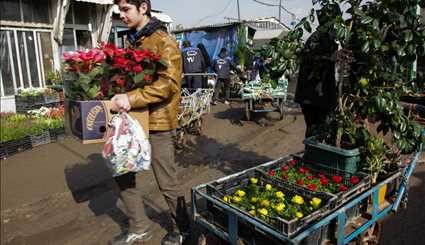 Mahallati Flower Market on eve of Spring