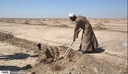 بالصور.. عمليات تشجير 4000 هكتار من الأراضي القاحلة بمحافظة خوزستان جنوب غرب ايران