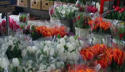 Mahallati Flower Market in Tehran