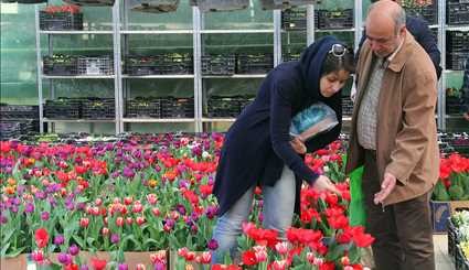بازار گل محلاتی تهران | تصاویر