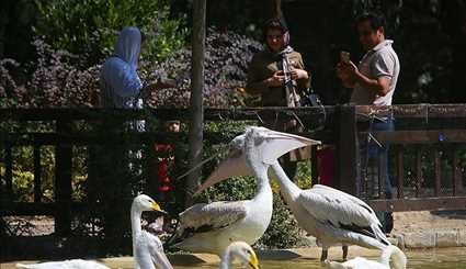بالصور..حديقة الطيور في العاصمة الايرانية طهران