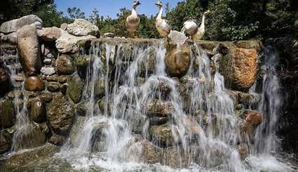 بالصور..حديقة الطيور في العاصمة الايرانية طهران