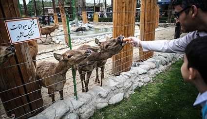 Iran's Beauties in Photos Tehran Zoological Garden
