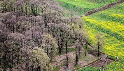 Iran's Beauties in Photos: Spring in Gorgan