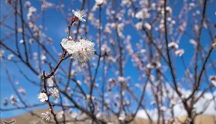 Iran’s Beauties in Photos: First Days of Spring in Ardabil